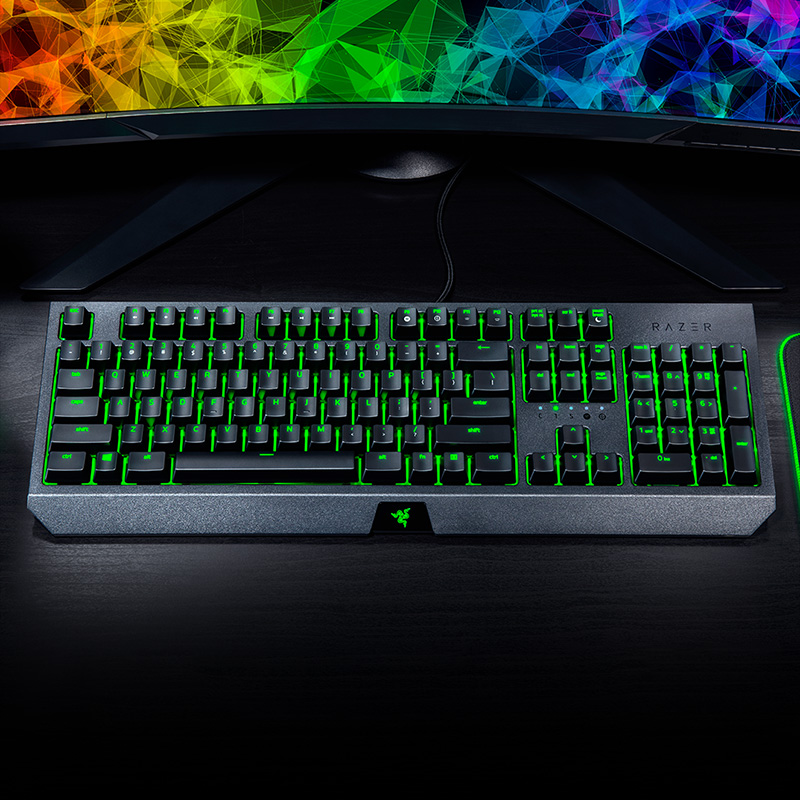 Razer BlackWidow Keyboard Gami - Gaming Keyboard Ergonomic ulasan dan harga